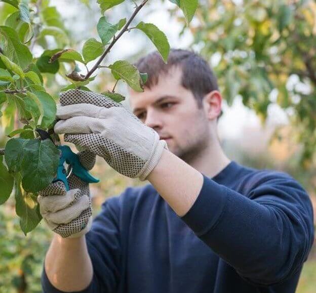 Ropa de trabajo y protecciones para el agricultor