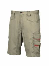 Bermuda Laboral Party U-Power Bermuda Laboral Party U-Power