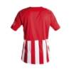 Camiseta Deportiva New Listada Luanvi Rojo-Blanco Espalda Camiseta Deportiva New Listada Luanvi Rojo-Blanco Espalda