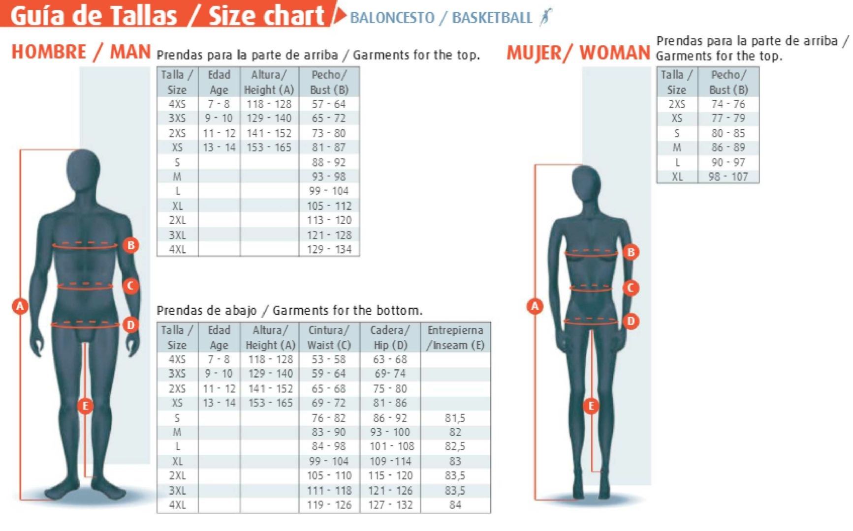 Guia de Talla Baloncesto Luanvi