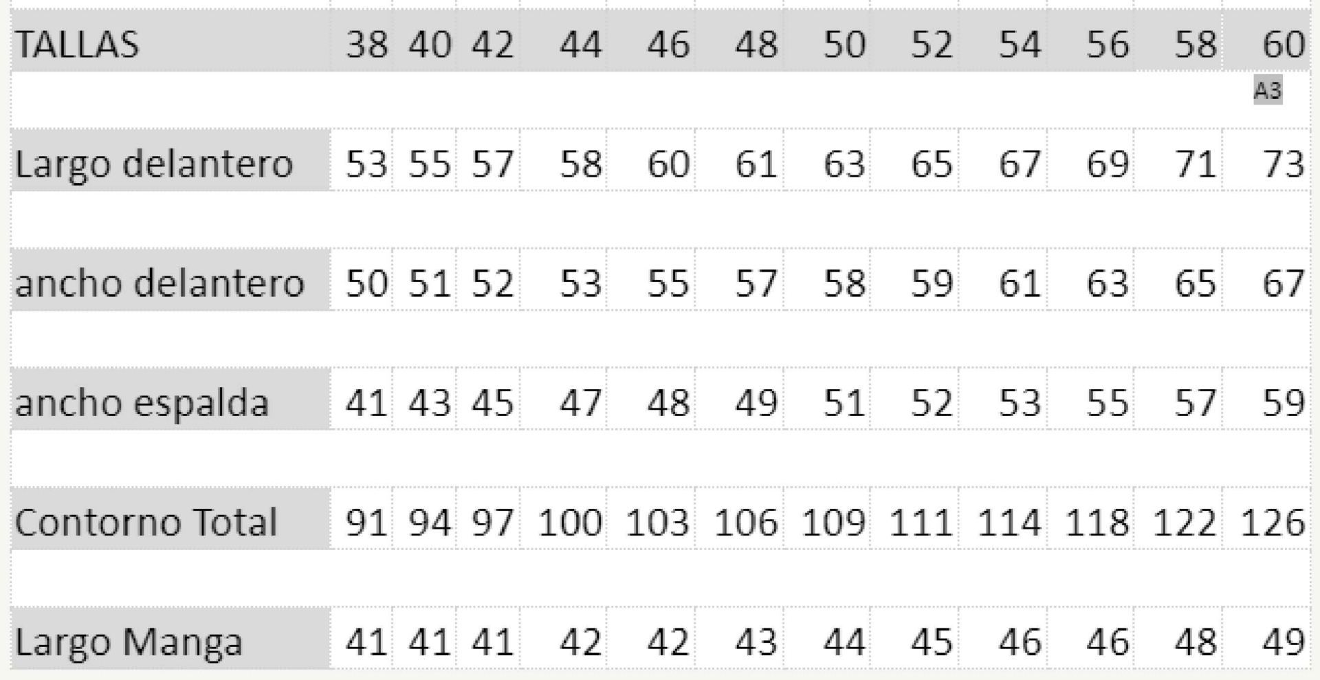 GUIA TALLA 1001 GARYS